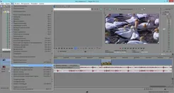 Sony Vegas Pro